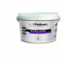 Exelans Flat Exterior Paint