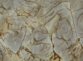 Porcelain Tile